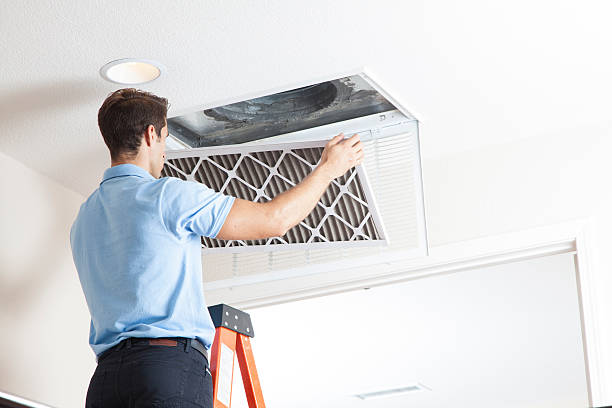 Best Air Filters and Purifiers in Adamstown, MD